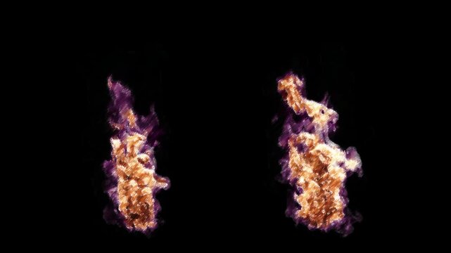 Looping fire sketch version. 3D generated animation fx. Has alpha channel (ProRes, 4K only) for easy compositing.

