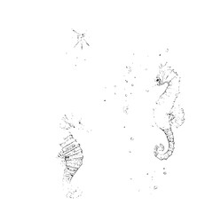 Seahorses Swimming with Bubbles Underwater