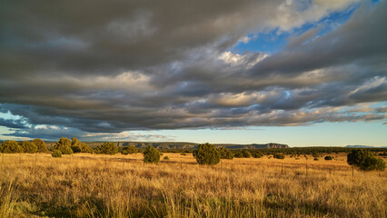 Fence Line Across Sunlit Grassland under Evening Clouds