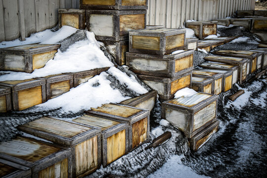 Shackleton's Hut, Cape Royds, Antarctica