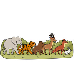 zoo animals illustration 