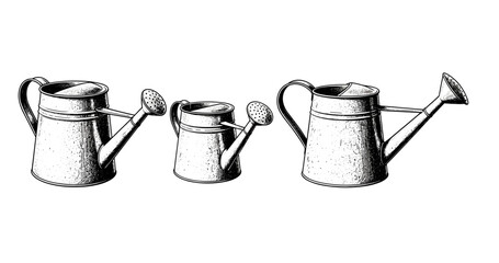 Three vintage watering cans illustration: large, medium, and small sizes