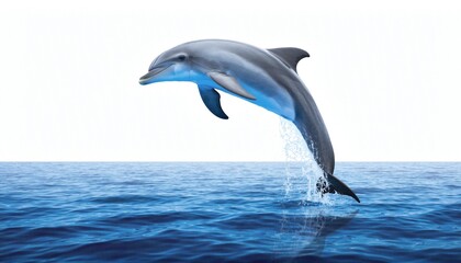 Obraz premium Graceful Dolphin Leaping from Blue Ocean Water