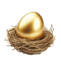 Obraz premium A shiny golden egg resting in a rustic nest made of twigs. symbolizing prosperity and new beginnings. set against a clean white background ideal for promotional materials or inspirational content
