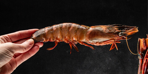 Tiger prawns raw king gambas shrimp seafood natural food ingredient appetizer fresh tasty gourmet...