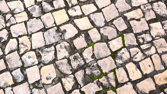 Top down view of aged Portuguese cobblestone pavement showing worn stones and green moss between them, creating an organic abstract texture ideal for background use
