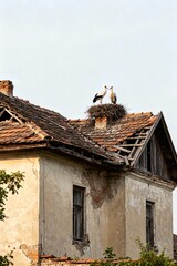 old house roof