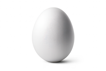 Single white egg on transparent background, isolated and beautifully lit.