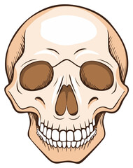 Fototapeta premium Cartoon Illustration of a Human Skull with Smiling Teeth for Halloween Design