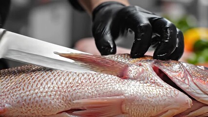 Closeup view of a professional chefs gloved hands meticulously filleting a large fresh red snapper fish with a sharp knife on a clean cutting surface preparing seafood for a gourmet meal in a commerc.