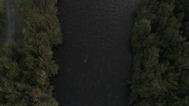 Aerial Overhead View Following River Mouth Flow