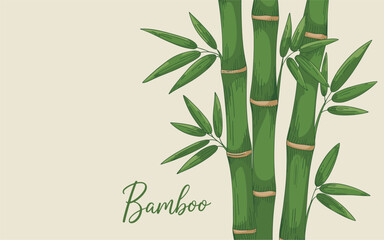 Naklejka premium Green bamboo stalks vector illustration with leaves on a neutral background for nature themed designs.