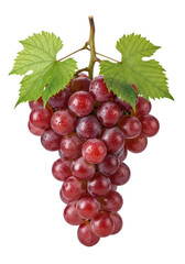 Fototapeta premium Close-up macro of fresh red table grapes (crimson seedless) with glistening dew and green leaves, perfectly isolated on a transparent infinity cove background with soft lighting. Concept of natural