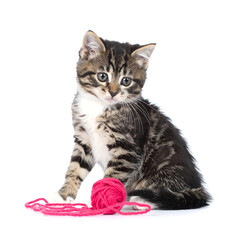 Playful Tabby Kitten with Small Pink Yarn Ball on White Background