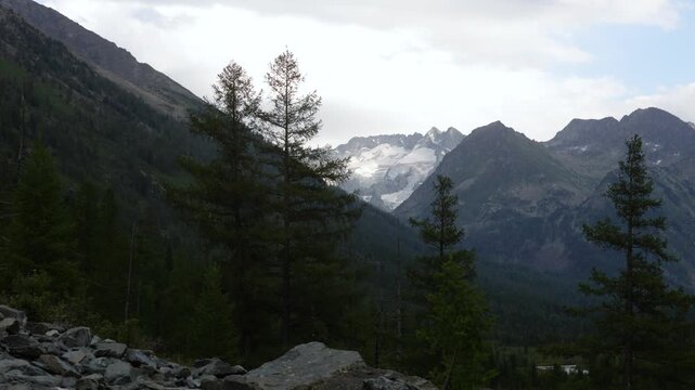 Picturesque mountain valley with forest and snow-capped mountains in the background