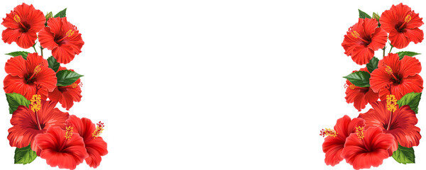 Hisbiscus Background 001 - 1