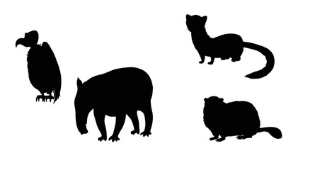 set of animals silhouettes © aindra