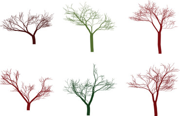 Obraz premium Six trees in different stages of growth and color