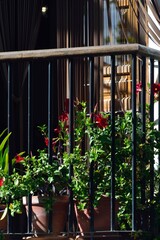 Balc&oacute;n adornado con flores en Pampaneira, Alpujarra de Granada, Andaluc&iacute;a, Espa&ntilde;a

