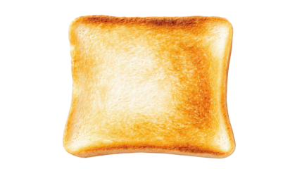 Close up of toasted bread slice isolated on transparent background.