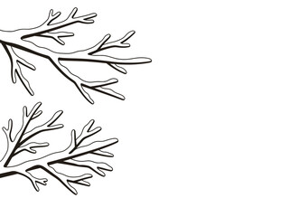 Obraz premium Black and white outline drawing of two clusters of bare tree branches