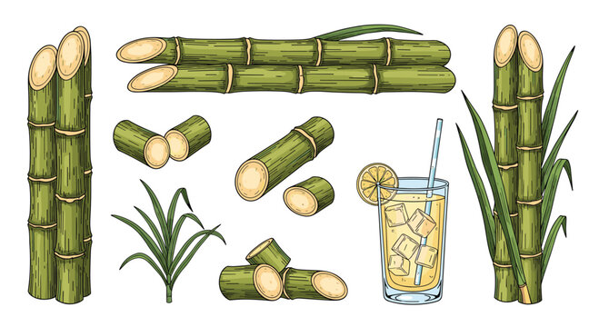 Detailed collection of green sugarcane stalks, leaves, and a glass of fresh sugarcane juice with ice and a lemon slice.