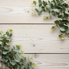Eucalyptus leaves on rustic white wooden background