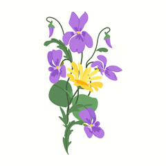 Botanical vector illustration of a fresh spring bouquet featuring purple viola and a vibrant yellow daisy isolated on a white background