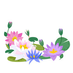 Elegant vector composition of water lily flowers and lush green leaves isolated on a white background. Botanical design perfect for spa, zen, floral, and nature-inspired projects