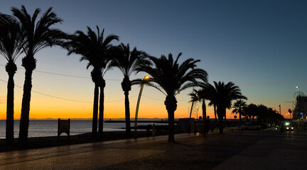 Obraz premium beautiful alley with palm trees aerial view, pedestrian street at sunset view, promenade at exotic tropical resort