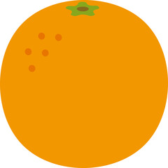 vector illustration of an orange