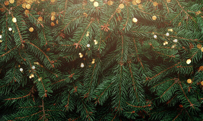 Green fir branches background with light and bokeh for Merry Christmas and Happy New Year. Xmas and Winter holidays. Christmas card, toning, top view