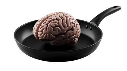 Human Brain in a Frying Pan on a Black Background cooking food
