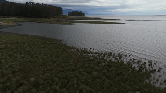 Aerial Low View of Coastal Wetlands with Small Grass Covered Islands