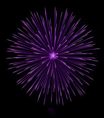 Obraz premium Vibrant purple firework explosion