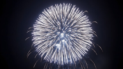 Obraz premium Brilliant white fireworks display