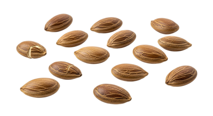 A collection of brown seeds arranged on a black background