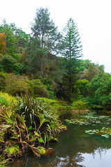 Woodland lake surrounded by greenery and stones. Quiet autumn landscape and calm outdoor scene.