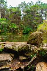Calm forest lake with rocky shore and evergreen trees. Peaceful autumn atmosphere and outdoor background.