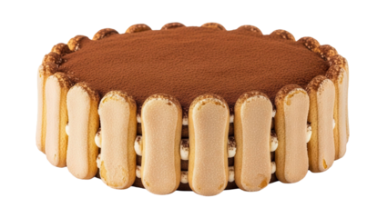 Delicious Tiramisu cake with ladyfingers and cocoa powder, cut out, stock png, isolated on transparent background