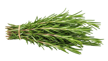 Bunch of fresh rosemary herb tied with string, cut out, stock png, isolated on transparent background