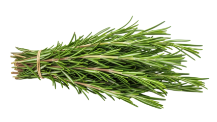 Bunch of fresh rosemary herb tied with string, cut out, stock png, isolated on transparent background