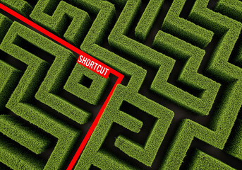 Top view of green maze with red line shortcut path representing business strategy.