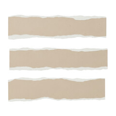 Fototapeta premium Torn paper strips isolated on transparent background