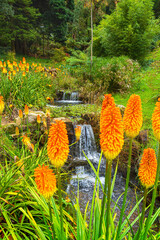 Scenic forest stream with cascading waterfalls and green plants. Calm autumn outdoor scene.