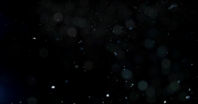 Flying dust particles on a black background