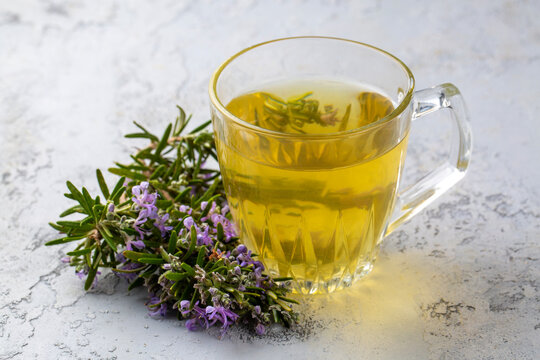 Cup of healthy rosemary tea with fresh rosemary bunch on rustic background, winter herbal hot drink concept, salvia rosmarinus