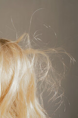 Close-Up of Blonde Hair with Flyaways in Sunlight