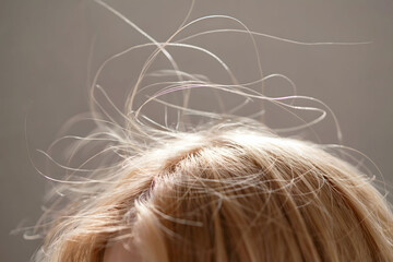 Close-Up of Blonde Hair Roots and Flyaways in Sunlight