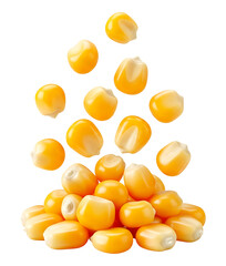 Fototapeta premium A vibrant scattering of golden corn kernels falling and piling together ideal for creating food related designs on transparent background, PNG